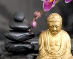 Our top 10 Feng Shui Tips offer easy solutions to enhance the energy or “chi” in your home. Whether you’re new to Feng Shui or have been practicing it for years,...